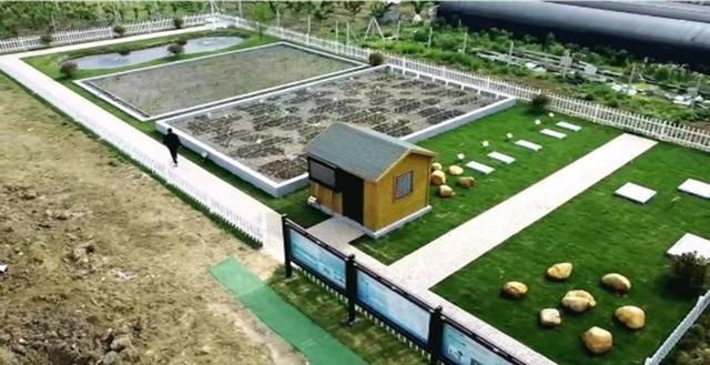 中央生態環保督察聚焦太湖流域 農村生活污水治理與污水處理廠建設雙管齊下