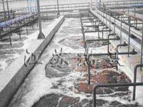 科技賦能，碧水新生 環保設備領域污水處理最新成果展示